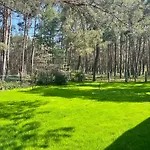 Waldhaus Am Holiday home Neu Zauche