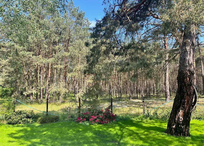 Waldhaus Am Neu Zauche