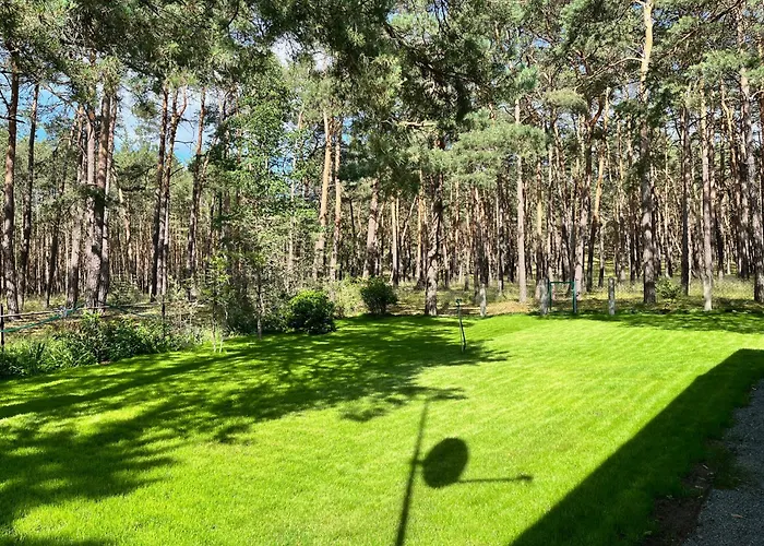 Waldhaus Am * Neu Zauche